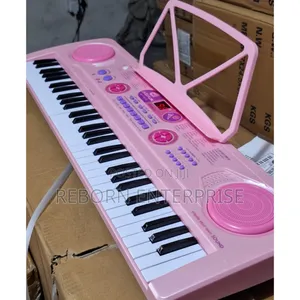 Professional Piano With in Built Battery