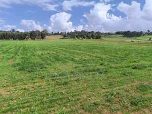 Prime Land for Sale