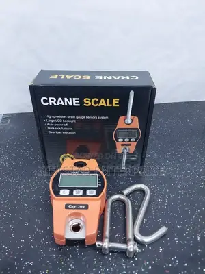 Crane Scale 300kg