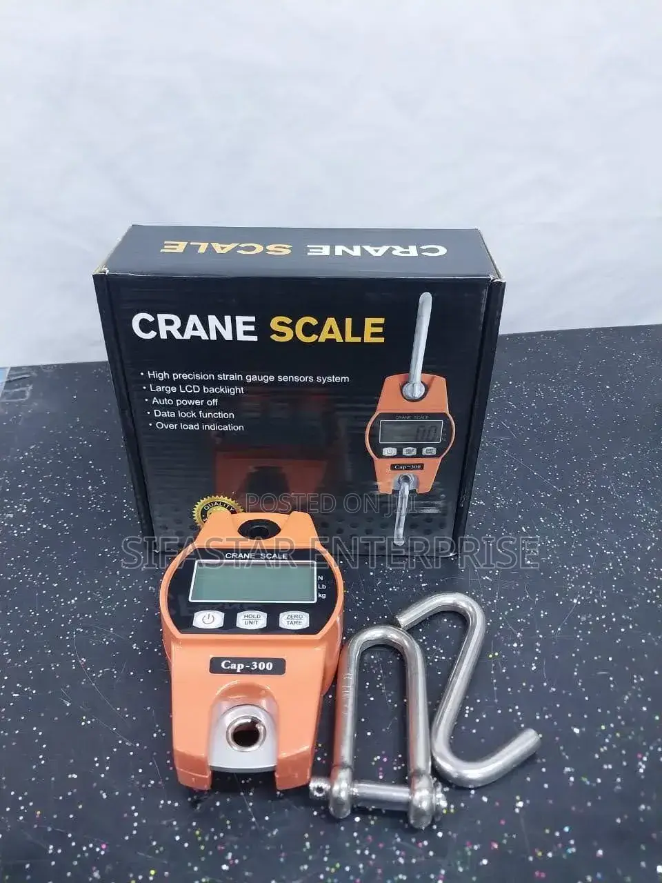 Crane Scale 300kg