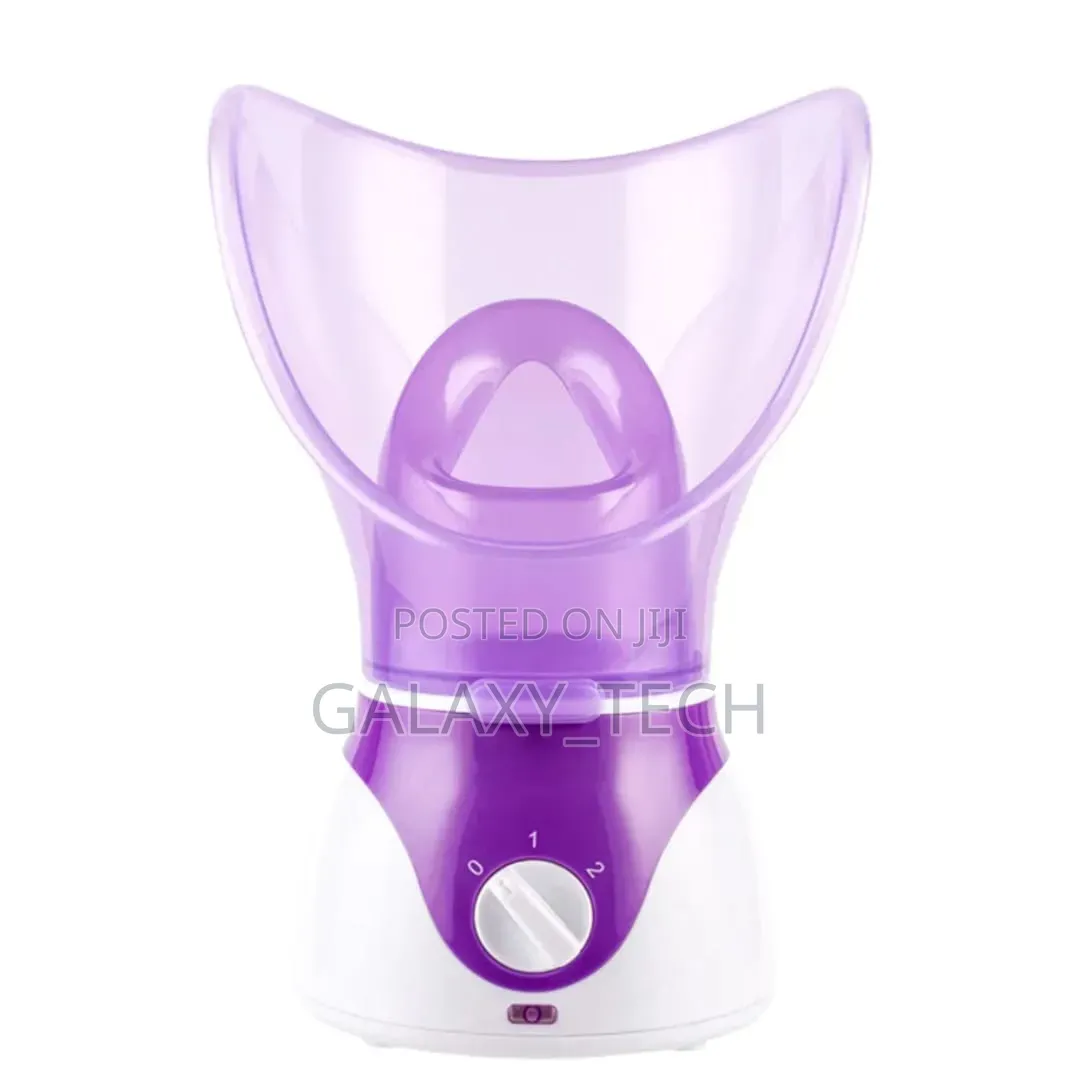 Electric Facial Steamer