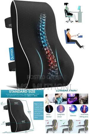 Backrest Support (Lumbar ) Memory Foam Cushion*