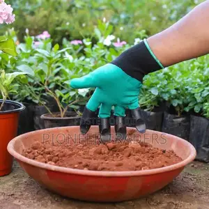 Garden Groves
