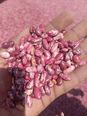 High Quality Nyayo Beans