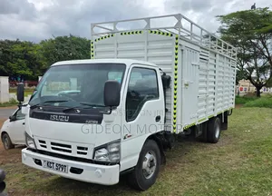 Isuzu NPR Truck