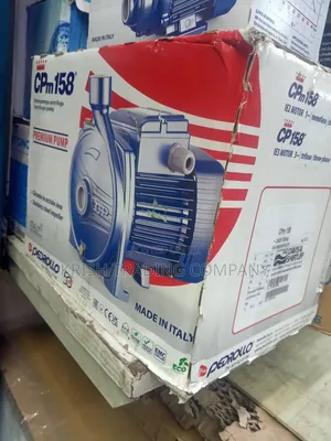 Pedrollo CPM 158 Water Pump