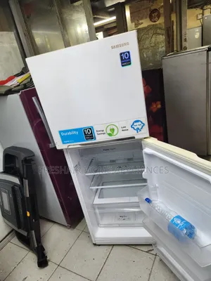 Samsung Digital Inverter 250litres