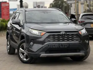 Toyota RAV4 Limited AWD 2019 Gray