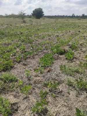 Plots for Sale