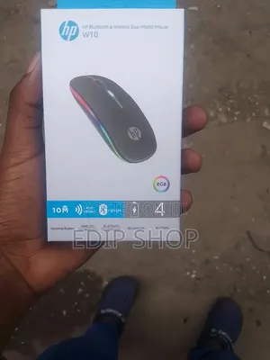 W10 Hp Wireless Dual Model Mouse