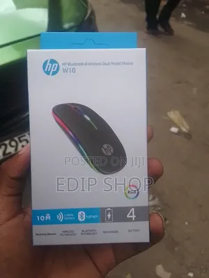 W10 Hp Wireless Dual Model Mouse