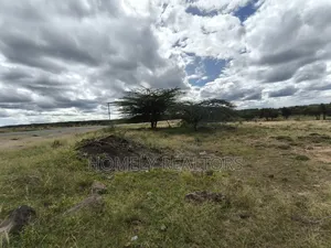 Eighth Acre Plots for Sale in Kiserian, Dawamu From Tarmac to 5th Row