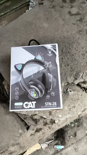Fancy Kids Bluetooth Headphones