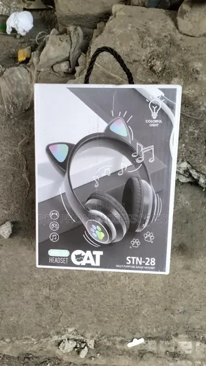 Fancy Kids Bluetooth Headphones