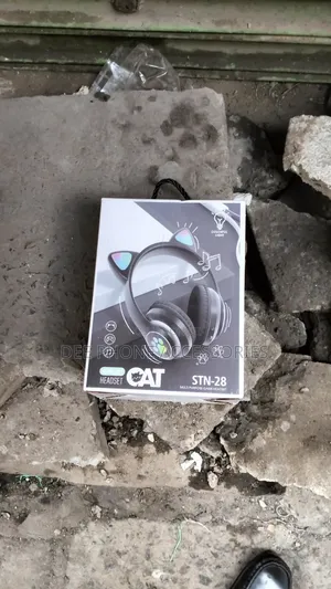 Fancy Kids Bluetooth Headphones