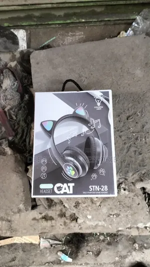 Fancy Kids Bluetooth Headphones