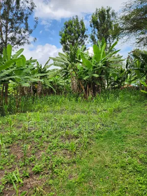 Developed 1-Acre Ngong-Oloolua