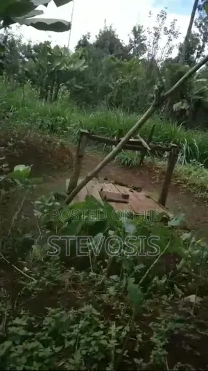 Half an Acre at Githunguri
