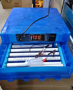Affordable 64 Egg Incubator/