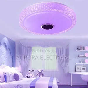Music Led Ceiling Light