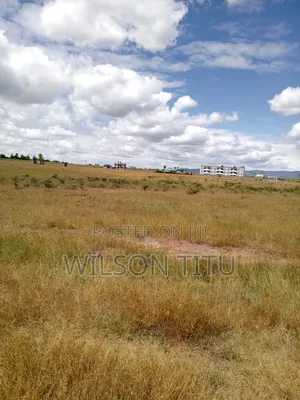 Four Acres of Land Joska Sun Shine
