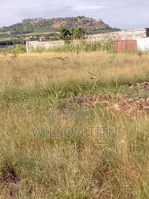 Land for Sale Two Acres It in Malaa