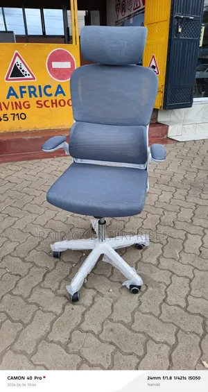 Executive Modern DBH Orthopedic Chair White-Gray