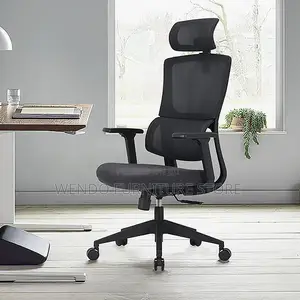 Office Chairs; High Back Orthopedic Office Works Chairs