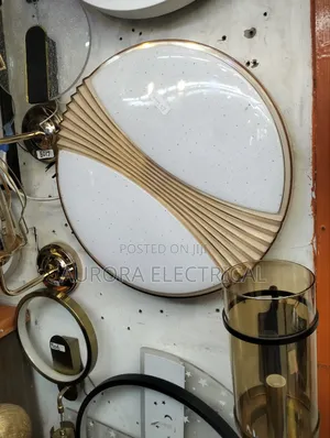 Ceiling Light