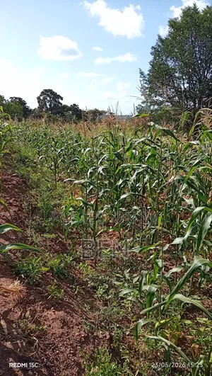 Prime Plots for Sale Along Thika-Garissa Highway