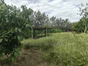 5-acre Farm And Farmland On Sale In Kiserian 400 Meters From Tarmac