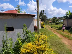 100 by 100 Plot for Sale at Nairobi Ndogo Kikuyu