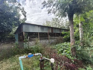 5-acre Farm And Farmland On Sale In Kiserian 400 Meters From Tarmac