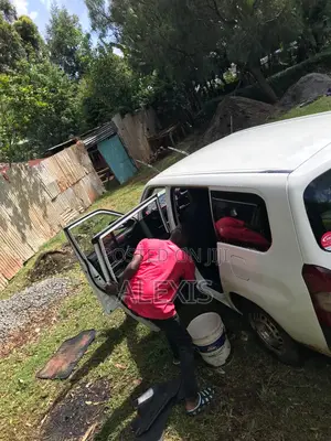 Alpha Hybrid Cleaning Solutions