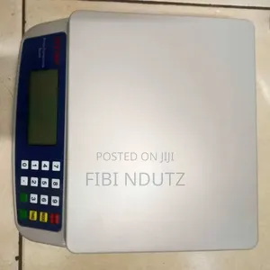 Digital Weighing Scale 30kg/30kg Scale