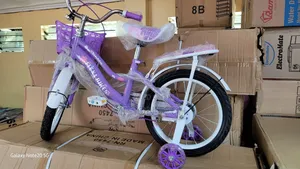 Flexi Bike Size 16"Purple