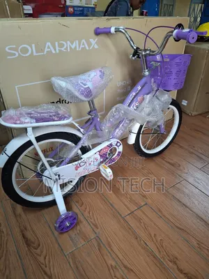 *Lady Bike Size 16 Girl Bike