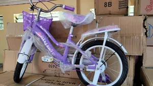 Lady Bird Bike Flexi 16" Purple Bicycle!