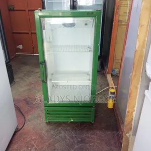 Green Min Two Tray Fridge Chiller Fridge