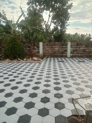 Professional Cabro Paving Installation and Polishing