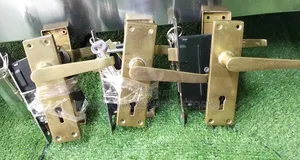Stainless Steel Door Locks