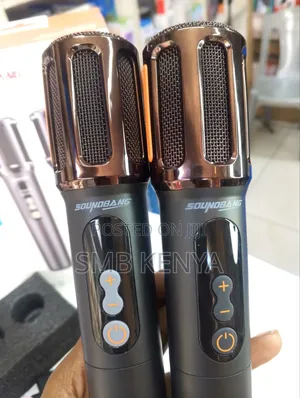 Party Speaker Wireless Microphone