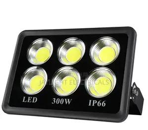 Bright Long Distance Cob 300w Led Flood Light