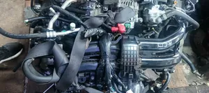 Complete Engine Fb16 (Gp )