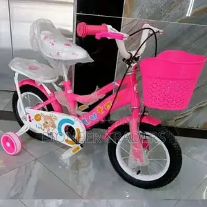 Girl Bike/ Lady Bike