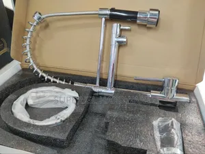 Kitchen Faucet With Two Spouts