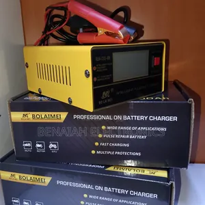 Battery Charger For Vehicles Motorbike Atv,24 Volts