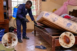 Professional Fumigation Services - Bedbugs, Cockroaches Pests