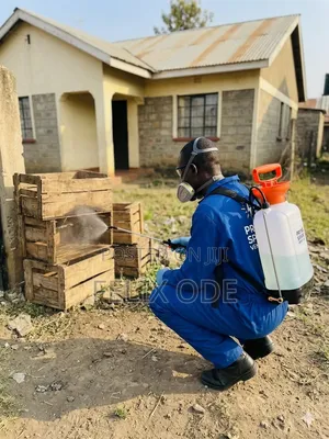 Professional Fumigation Services - Bedbugs, Cockroaches Pests