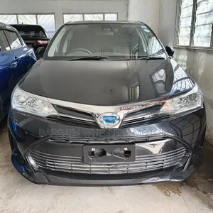 Toyota Corolla Fielder 2019 Black